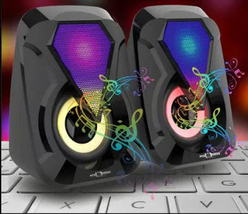 Multimedia Speaker Electrical self